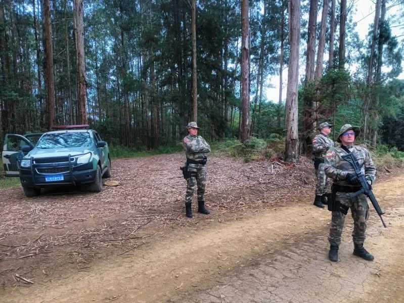 Operação Caça 2025: Polícia Militar Ambiental de Porto União intensifica ações contra a caça ilegal