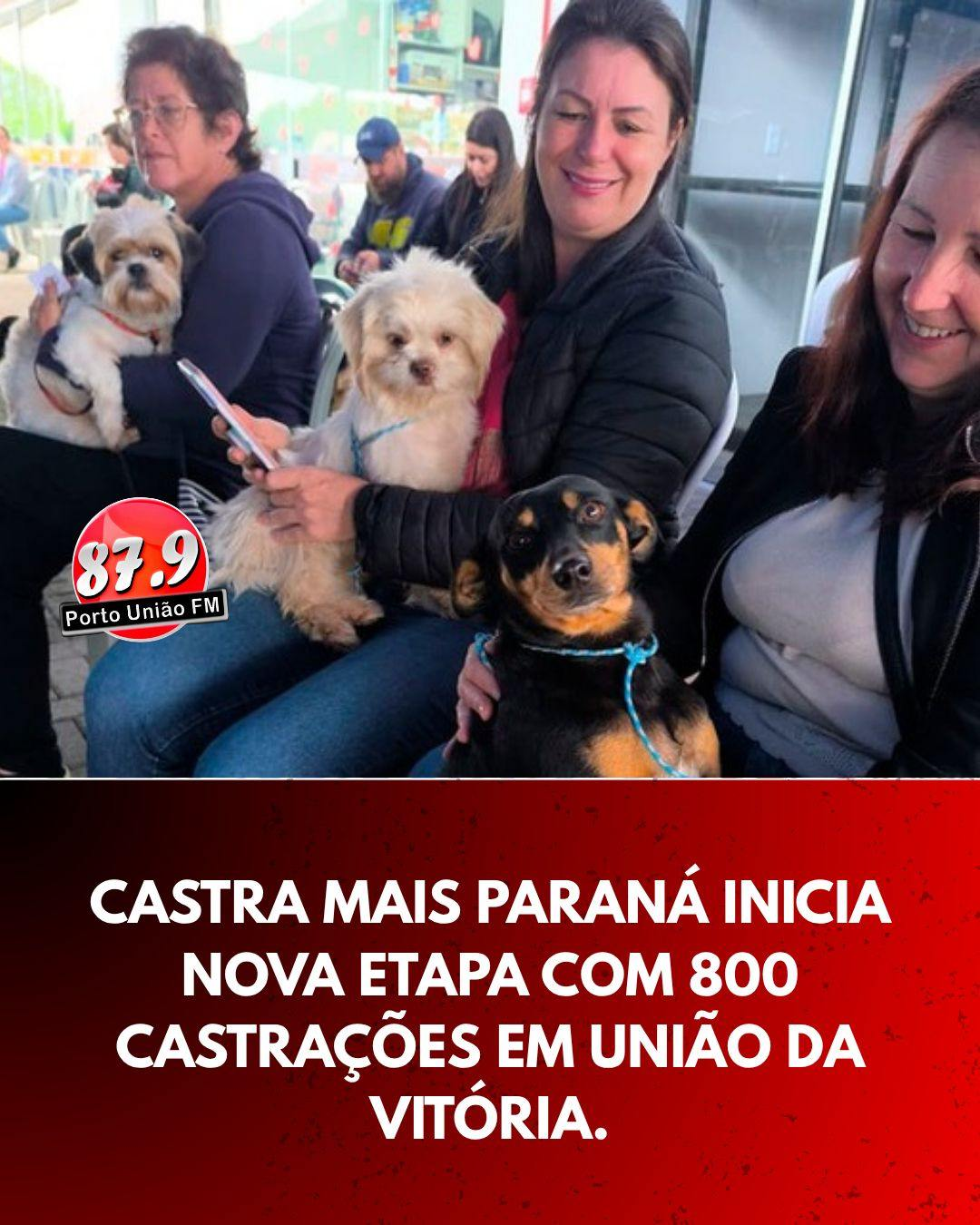 Programa de castração amplia cuidados e bem-estar animal na cidade.